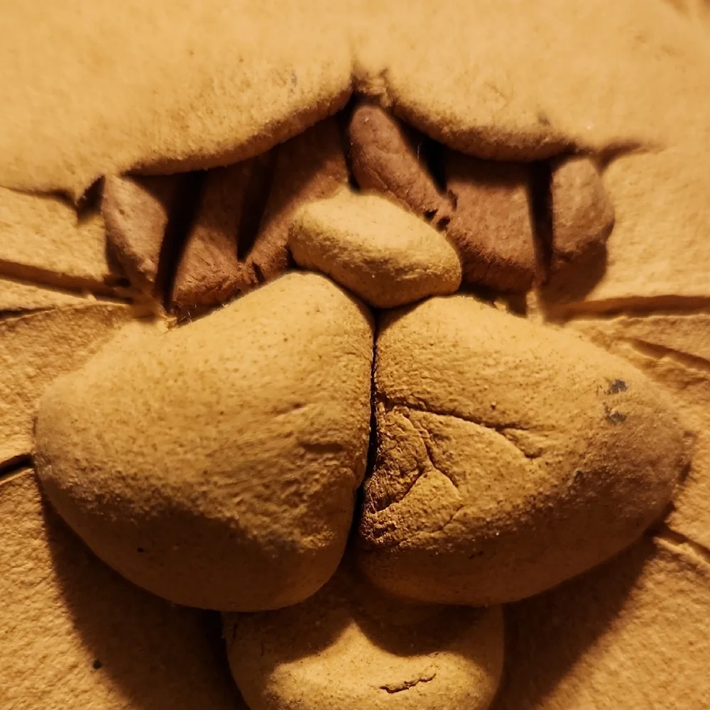 Fat Cat Piggy Bank